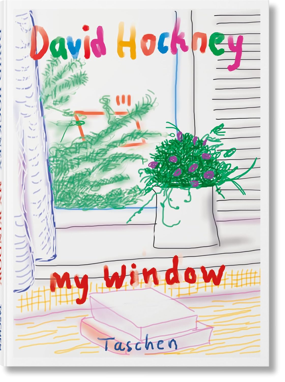 LIBRO MY WINDOW