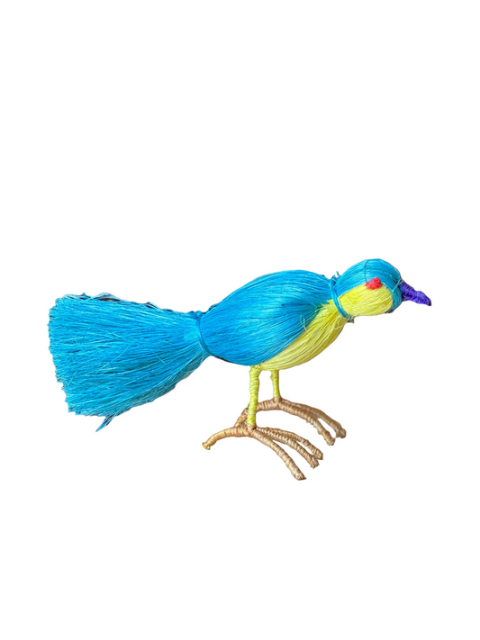 LORO AZUL HENEQUÉN