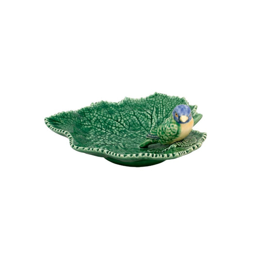 CINERARIA HOJA PAJARO VERDE